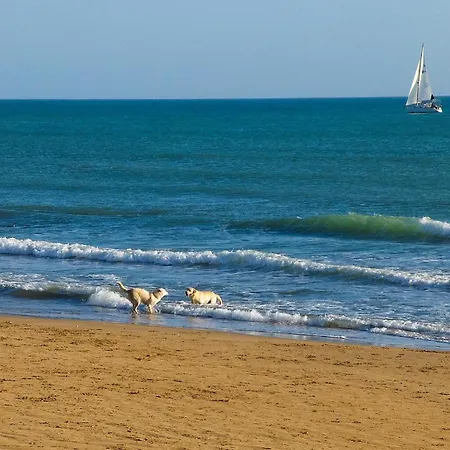 Beautiful In Caucana With Wifi Villaggio Azzurro